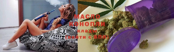 индика Верхний Тагил