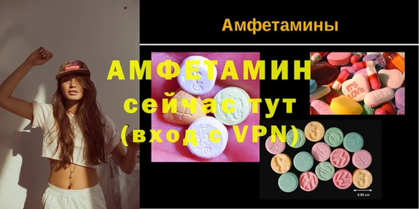 индика Верхний Тагил