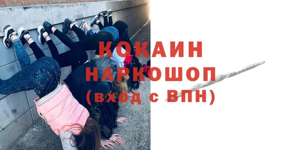 индика Верхний Тагил