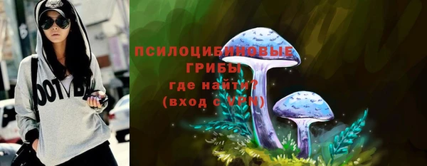 2c-b Верея