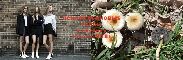 индика Верхний Тагил