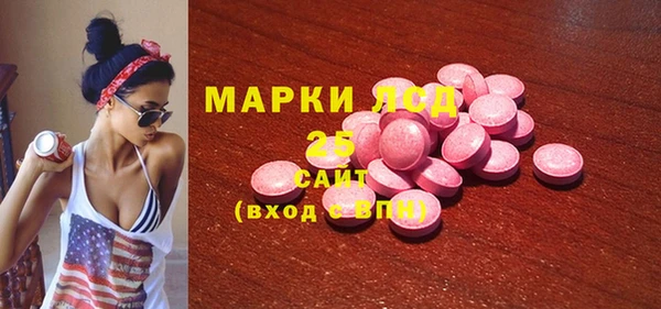 индика Верхний Тагил