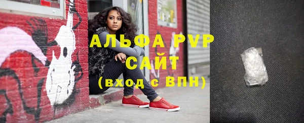 индика Верхний Тагил