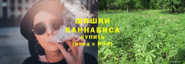 индика Верхний Тагил