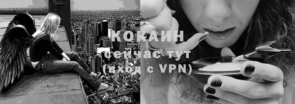 индика Верхний Тагил