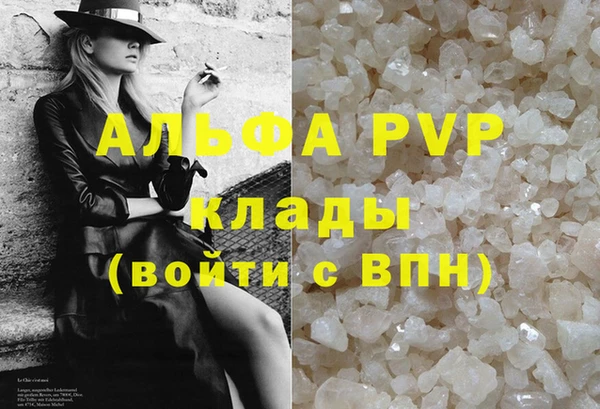 индика Верхний Тагил